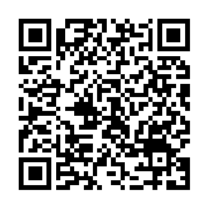 Lien vers votre campagne QRCode - Collecte de fonds