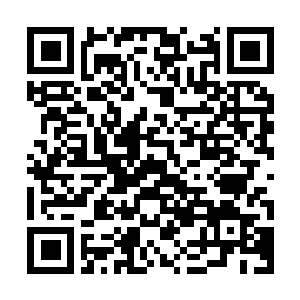 Lien vers votre campagne QRCode - Collecte de fonds