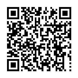 Lien vers votre campagne QRCode - Collecte de fonds