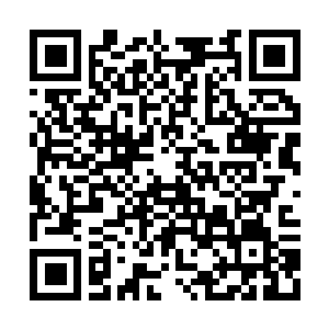 Lien vers votre campagne QRCode - Collecte de fonds