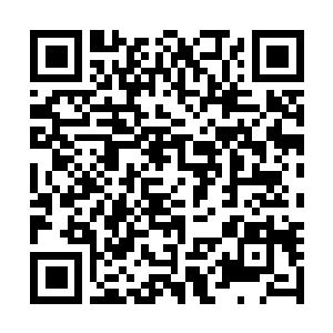 Lien vers votre campagne QRCode - Collecte de fonds
