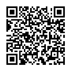 Lien vers votre campagne QRCode - Collecte de fonds