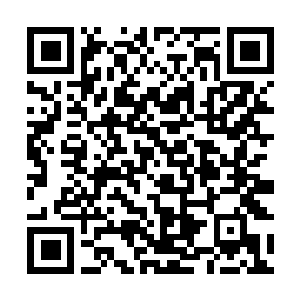 Lien vers votre campagne QRCode - Collecte de fonds