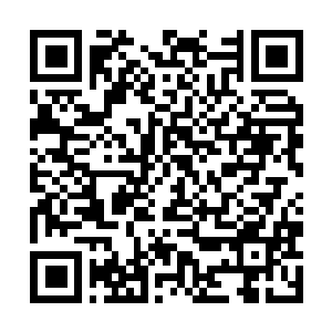 Lien vers votre campagne QRCode - Collecte de fonds