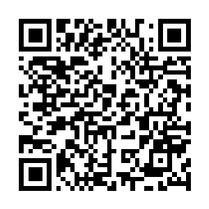 Lien vers votre campagne QRCode - Collecte de fonds