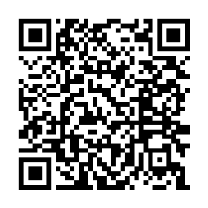 Lien vers votre campagne QRCode - Collecte de fonds