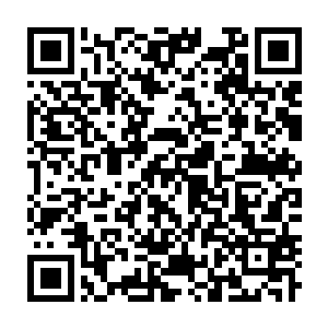 Lien vers votre campagne QRCode - Collecte de fonds