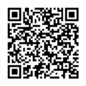 Lien vers votre campagne QRCode - Collecte de fonds