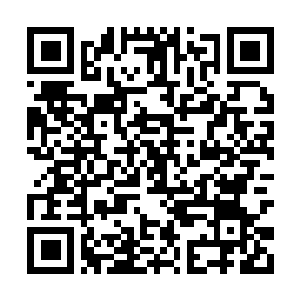 Lien vers votre campagne QRCode - Collecte de fonds