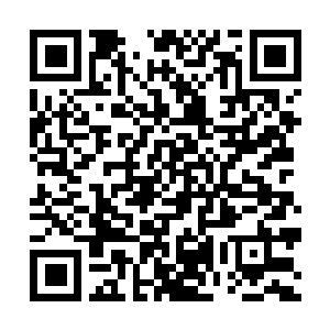 Lien vers votre campagne QRCode - Collecte de fonds