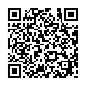 Lien vers votre campagne QRCode - Collecte de fonds