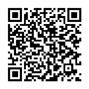 Lien vers votre campagne QRCode - Collecte de fonds