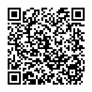Lien vers votre campagne QRCode - Collecte de fonds
