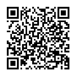 Lien vers votre campagne QRCode - Collecte de fonds