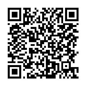 Lien vers votre campagne QRCode - Collecte de fonds