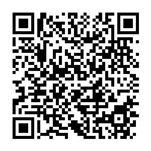 Lien vers votre campagne QRCode - Collecte de fonds