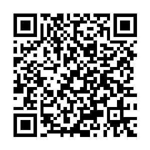 Lien vers votre campagne QRCode - Collecte de fonds