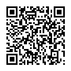 Lien vers votre campagne QRCode - Collecte de fonds