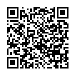 Lien vers votre campagne QRCode - Collecte de fonds