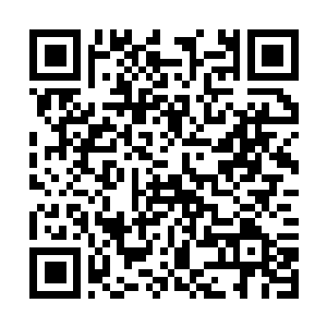 Lien vers votre campagne QRCode - Collecte de fonds