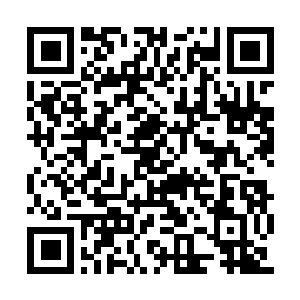 Lien vers votre campagne QRCode - Collecte de fonds