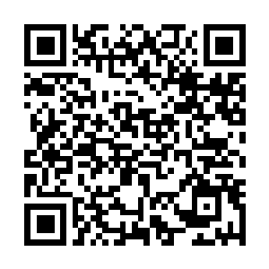 Lien vers votre campagne QRCode - Collecte de fonds