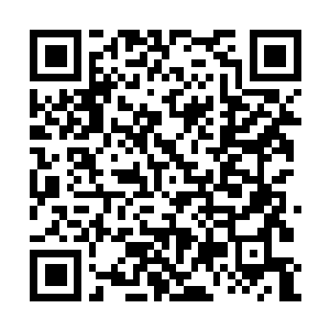 Lien vers votre campagne QRCode - Collecte de fonds