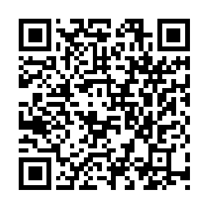 Lien vers votre campagne QRCode - Collecte de fonds