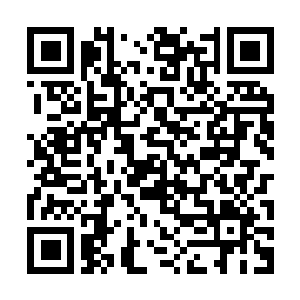 Lien vers votre campagne QRCode - Collecte de fonds