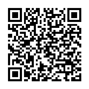 Lien vers votre campagne QRCode - Collecte de fonds