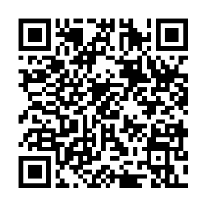 Lien vers votre campagne QRCode - Collecte de fonds