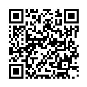 Lien vers votre campagne QRCode - Collecte de fonds