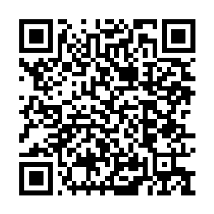Lien vers votre campagne QRCode - Collecte de fonds