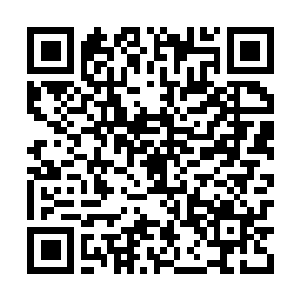 Lien vers votre campagne QRCode - Collecte de fonds