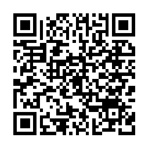 Lien vers votre campagne QRCode - Collecte de fonds