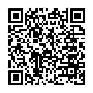 Lien vers votre campagne QRCode - Collecte de fonds