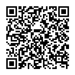 Lien vers votre campagne QRCode - Collecte de fonds