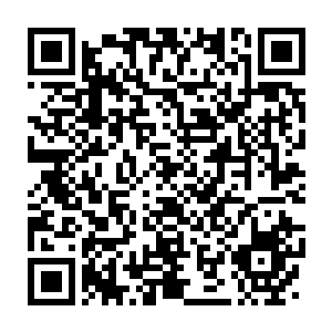 Lien vers votre campagne QRCode - Collecte de fonds