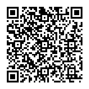 Lien vers votre campagne QRCode - Collecte de fonds