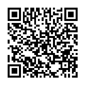 Lien vers votre campagne QRCode - Collecte de fonds