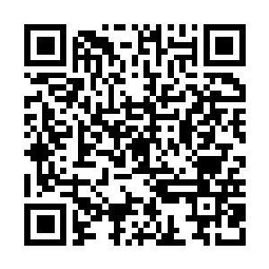 Lien vers votre campagne QRCode - Collecte de fonds