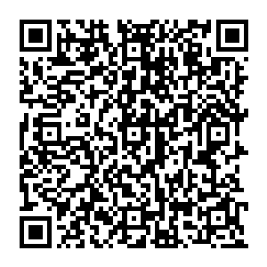 Lien vers votre campagne QRCode - Collecte de fonds
