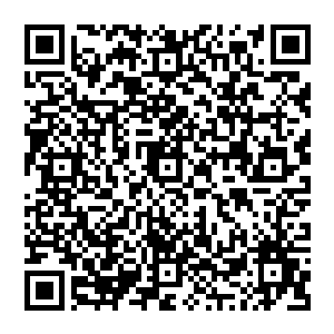 Lien vers votre campagne QRCode - Collecte de fonds