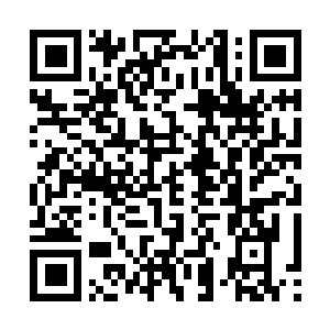 Lien vers votre campagne QRCode - Collecte de fonds