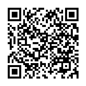Lien vers votre campagne QRCode - Collecte de fonds