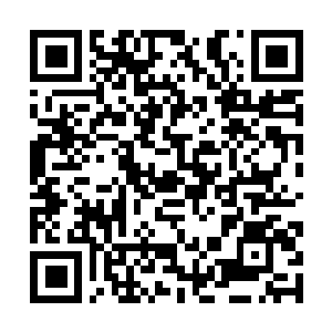 Lien vers votre campagne QRCode - Collecte de fonds