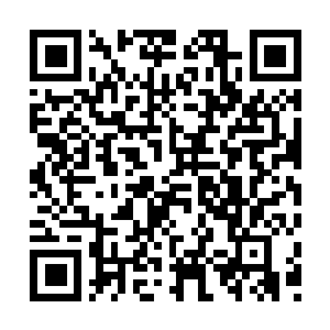 Lien vers votre campagne QRCode - Collecte de fonds