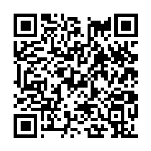 Lien vers votre campagne QRCode - Collecte de fonds