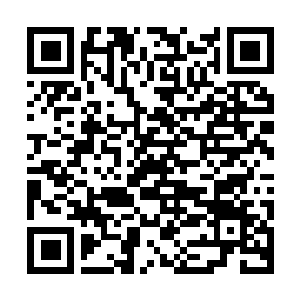 Lien vers votre campagne QRCode - Collecte de fonds