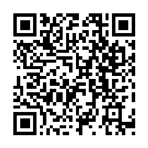 Lien vers votre campagne QRCode - Collecte de fonds
